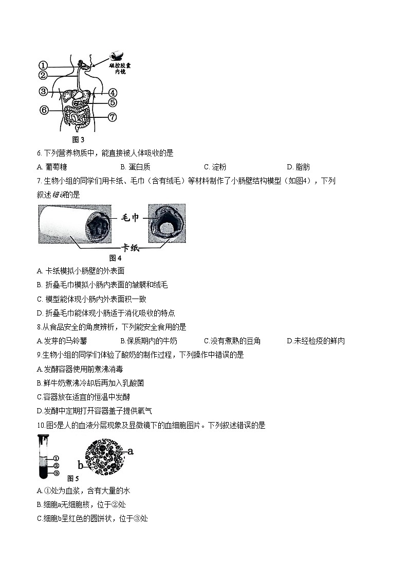 2025_2026学年江苏省徐州市铜山区八年级上册生物期末试卷（文字版，含答案）第2页
