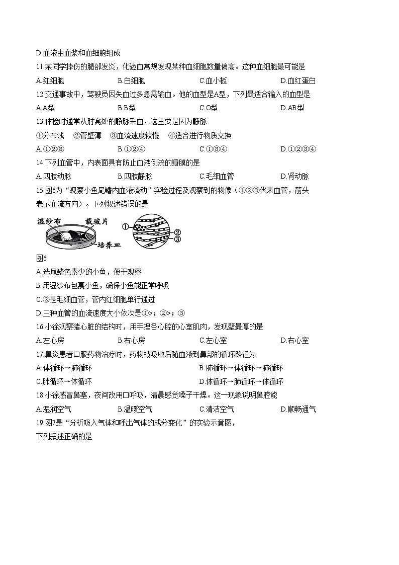 2025_2026学年江苏省徐州市铜山区八年级上册生物期末试卷（文字版，含答案）第3页
