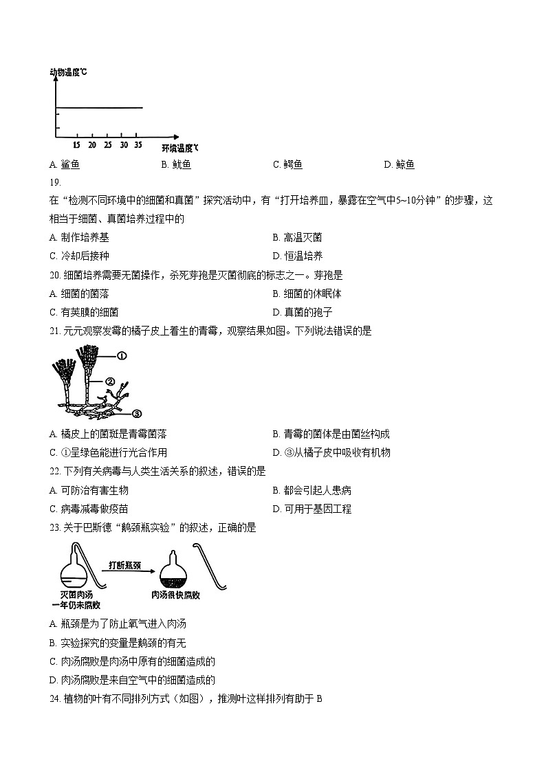 2025—2026学年福建省三明市三元区七年级上学期期末生物学试卷（文字版，含答案）第3页