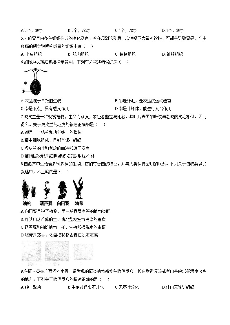河南周口市扶沟县2025_2026学年度上期期末质量监测七年级生物试题（文字版，含答案）第2页