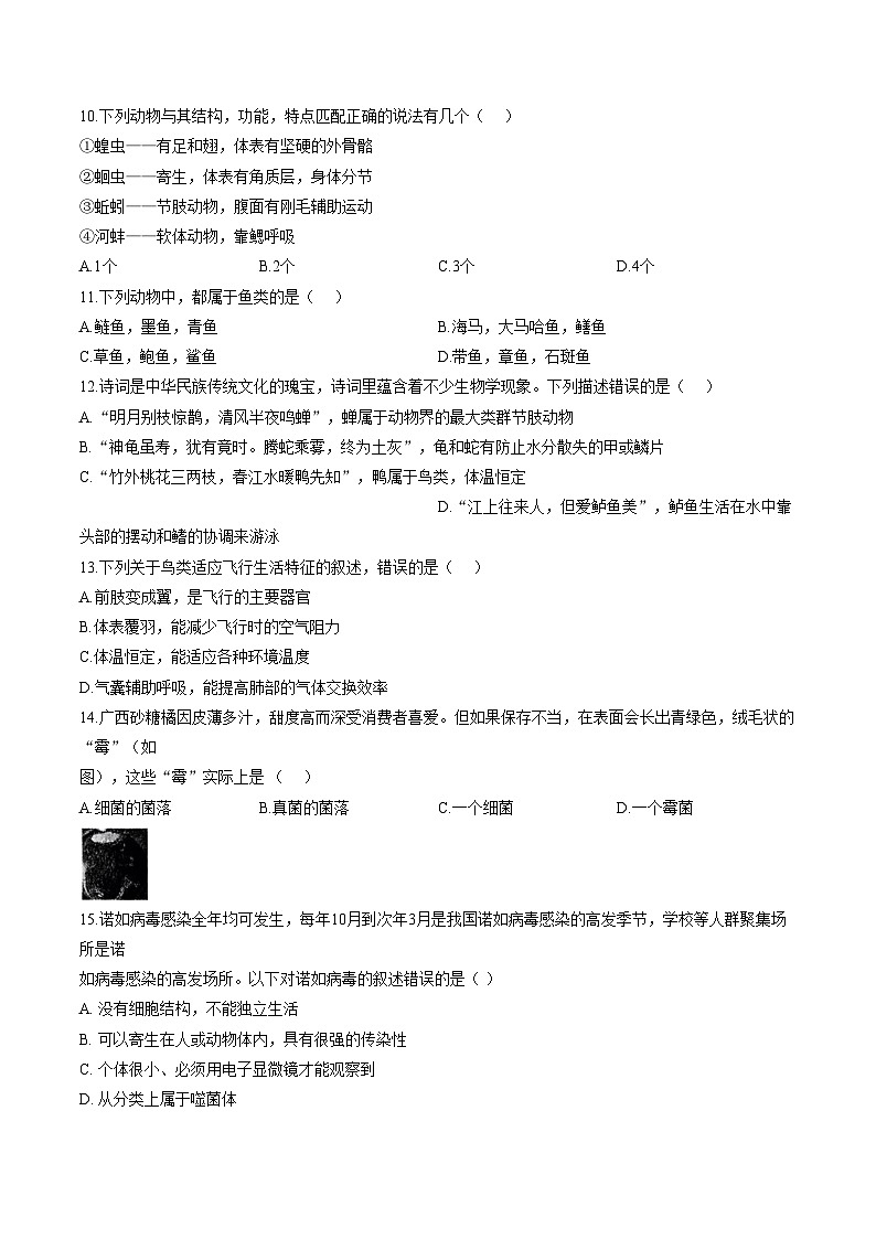 河南周口市扶沟县2025_2026学年度上期期末质量监测七年级生物试题（文字版，含答案）第3页