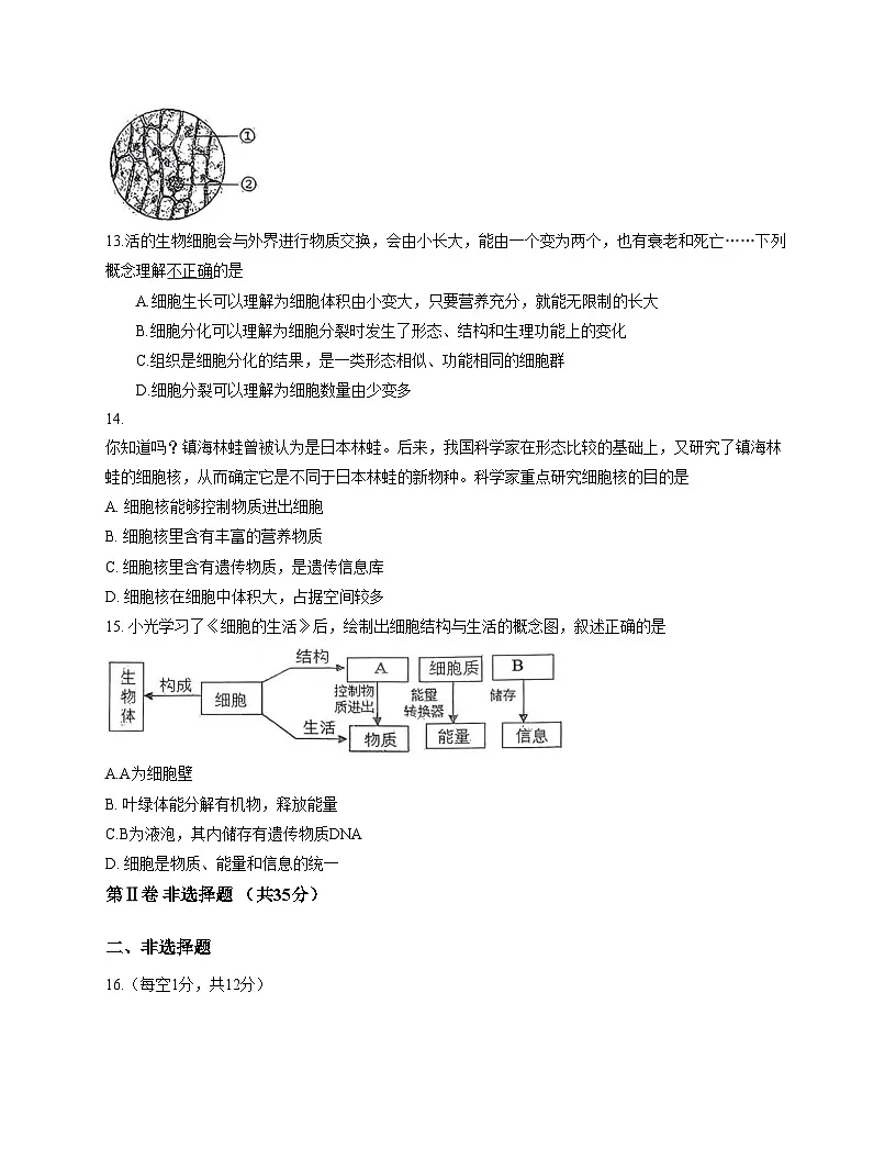 山西省吕梁市汾阳市2025_2026学年七年级上学期期中生物试卷（文字版，含答案）第3页