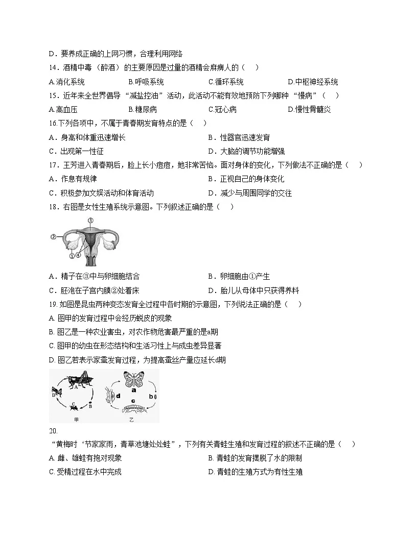 福建省龙岩市长汀县第四中学2025_2026学年八年级上学期11月期中生物试题（文字版，含答案）第3页