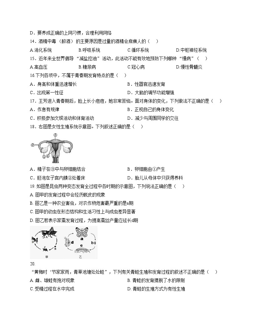 福建省龙岩市长汀县第四中学2025_2026学年八年级上学期11月期中生物试题（文字版，含答案）第3页