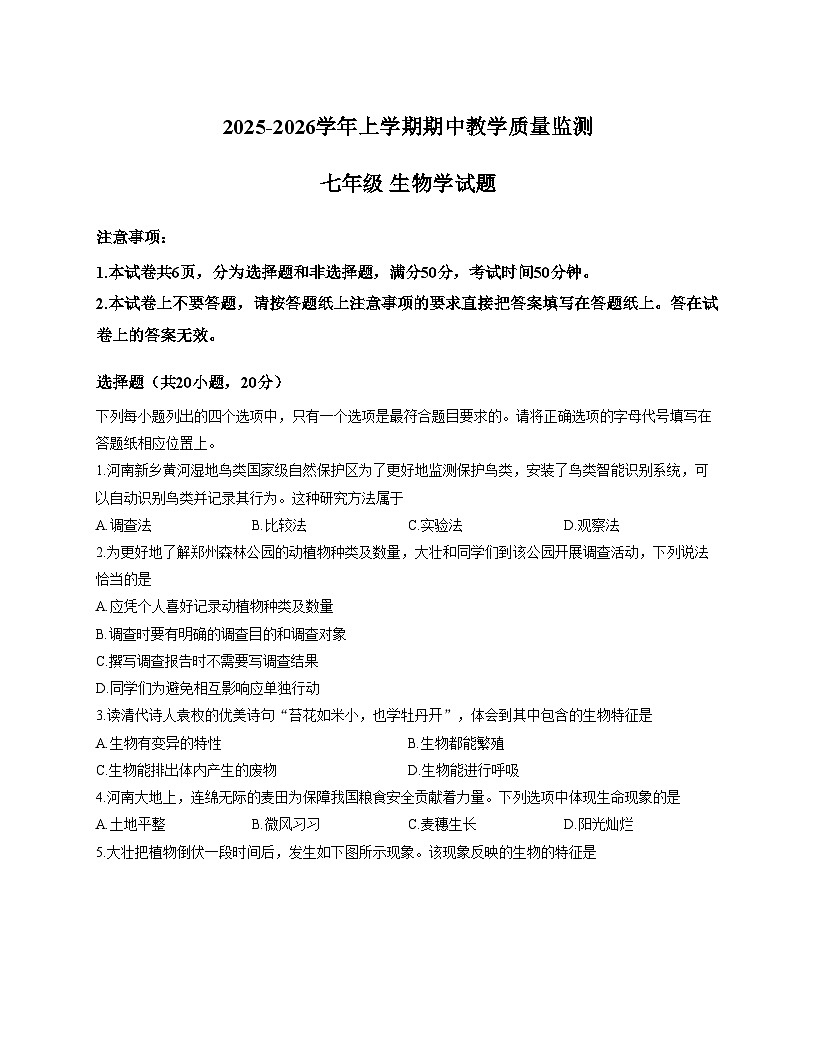 河南省郑州市中牟县2025_2026学年七年级上学期11月期中生物试题（文字版，含答案）第1页