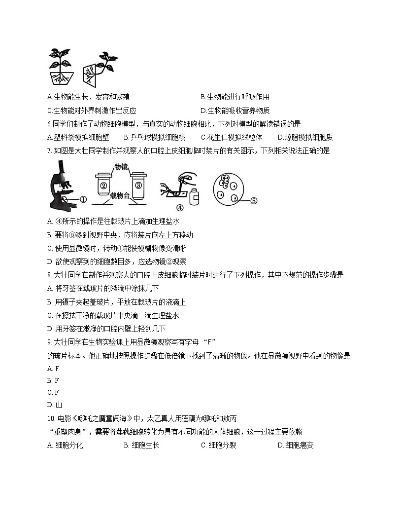 河南省郑州市中牟县2025_2026学年七年级上学期11月期中生物试题（文字版，含答案）第2页