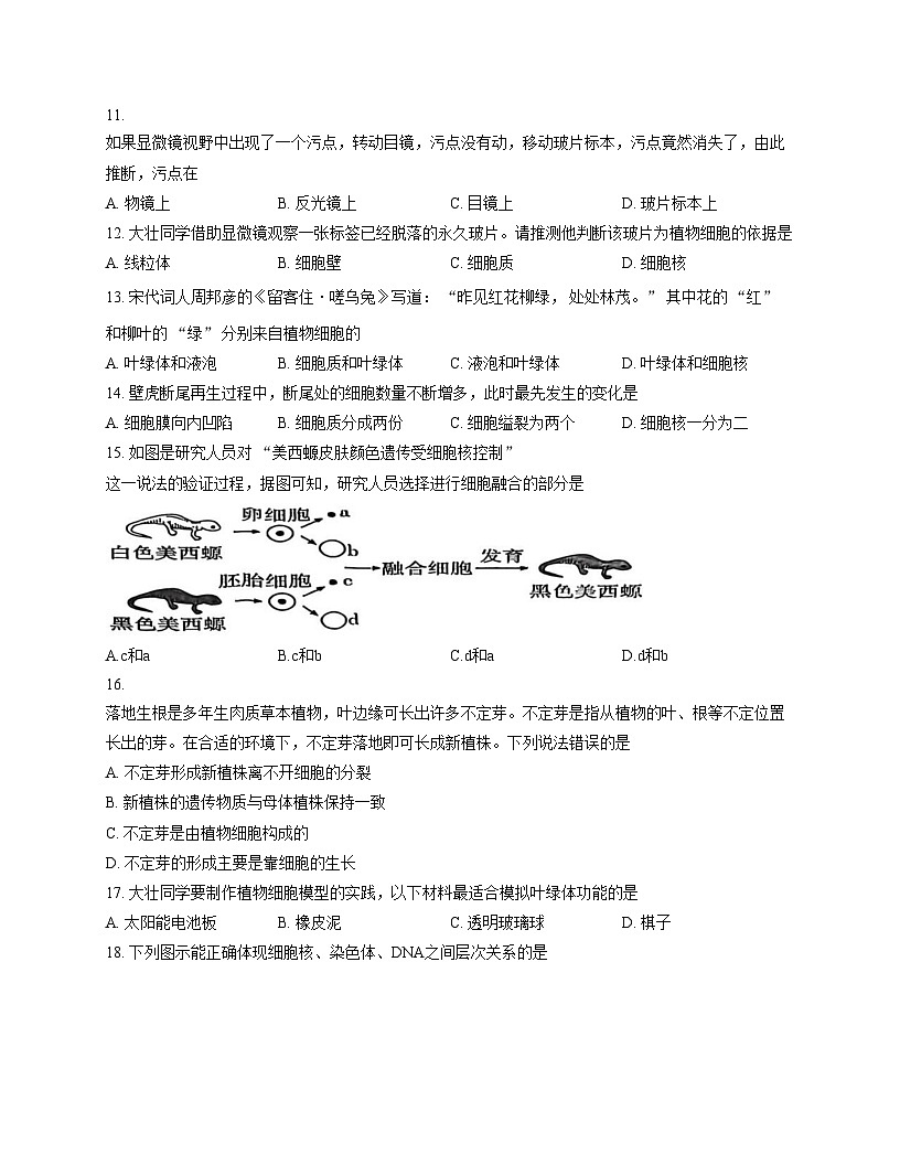 河南省郑州市中牟县2025_2026学年七年级上学期11月期中生物试题（文字版，含答案）第3页