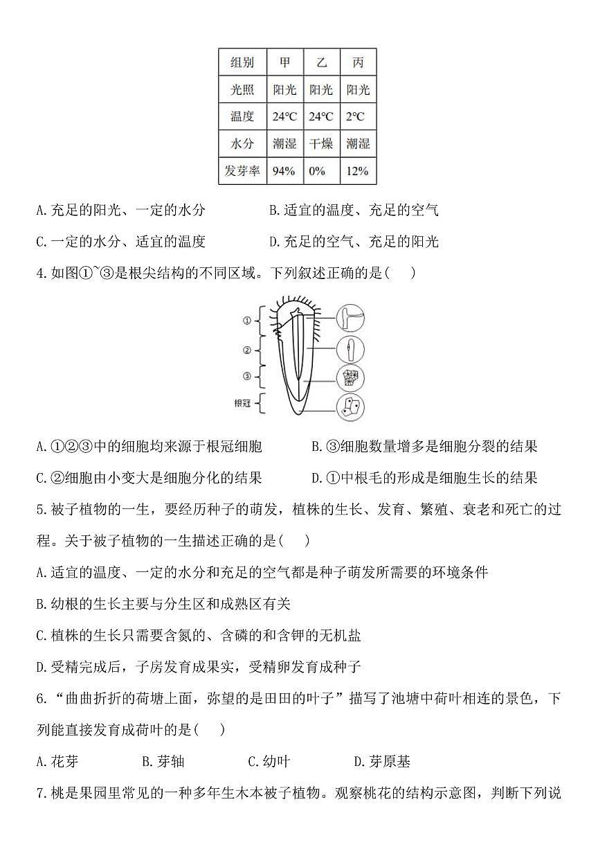 2024版人教版七年级下册生物期末压轴题01被子植物的一生练习含答案第2页