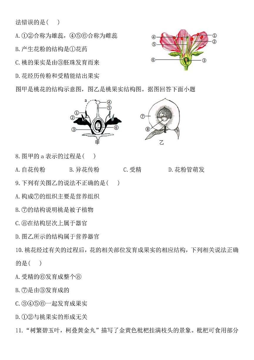 2024版人教版七年级下册生物期末压轴题01被子植物的一生练习含答案第3页