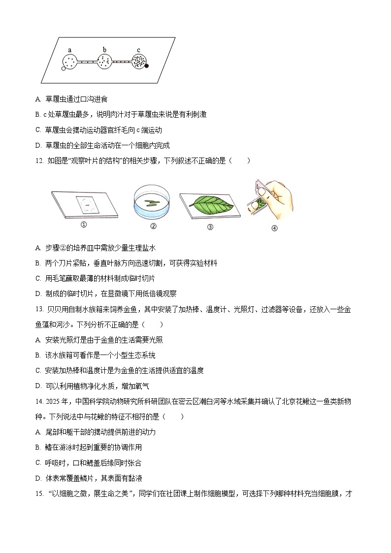 江苏省南通市通州区2025-2026学年七年级上学期期末生物学试题（试卷+解析）第3页