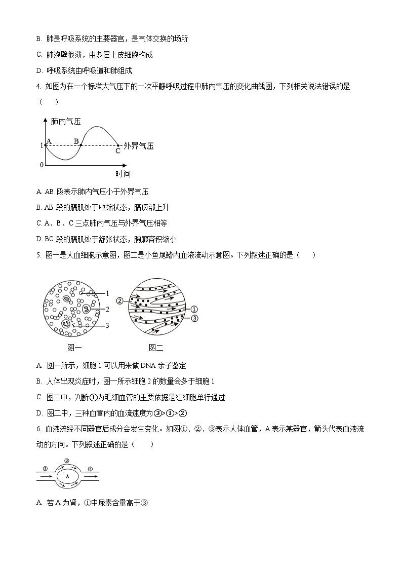 山东济南市历下区2025-2026学年八年级第一学期生物期末试题（试卷+解析）第2页