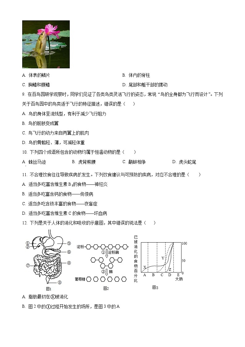 山东济宁市曲阜市2025-2026学年度第一学期期末教学质量监测八年级生物试题（试卷+解析）第3页