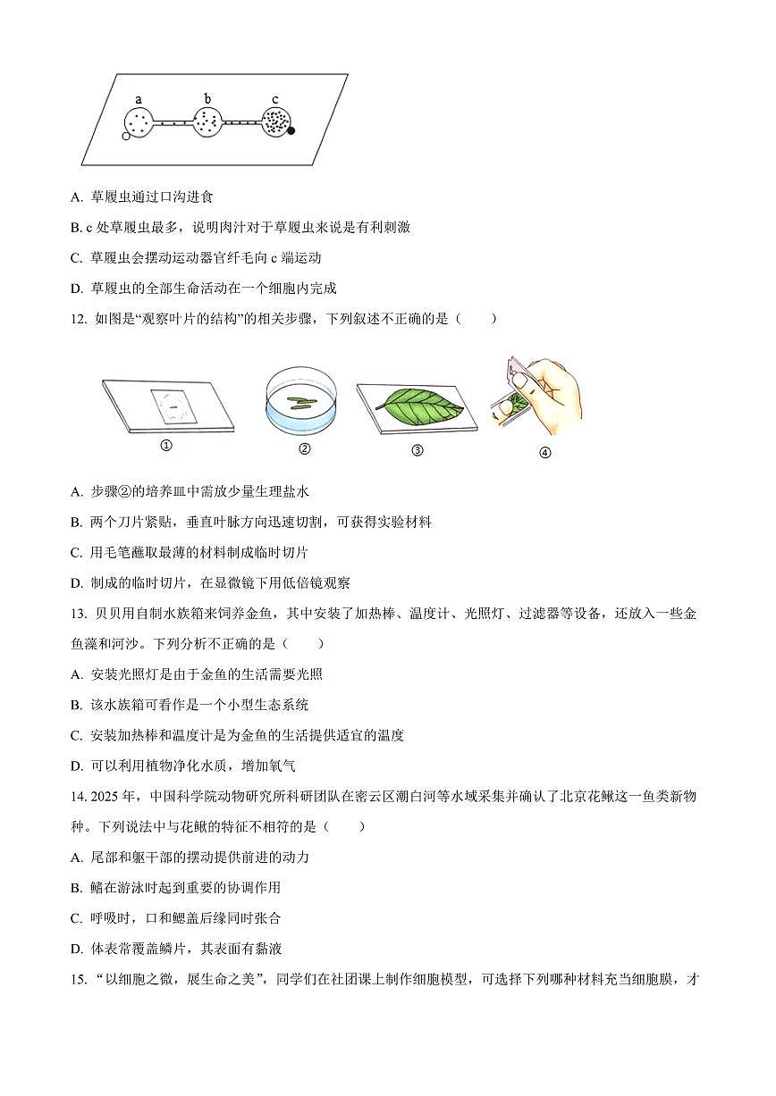 江苏省南通市通州区2025-2026学年七年级上学期期末生物学试题（试卷+解析）第3页