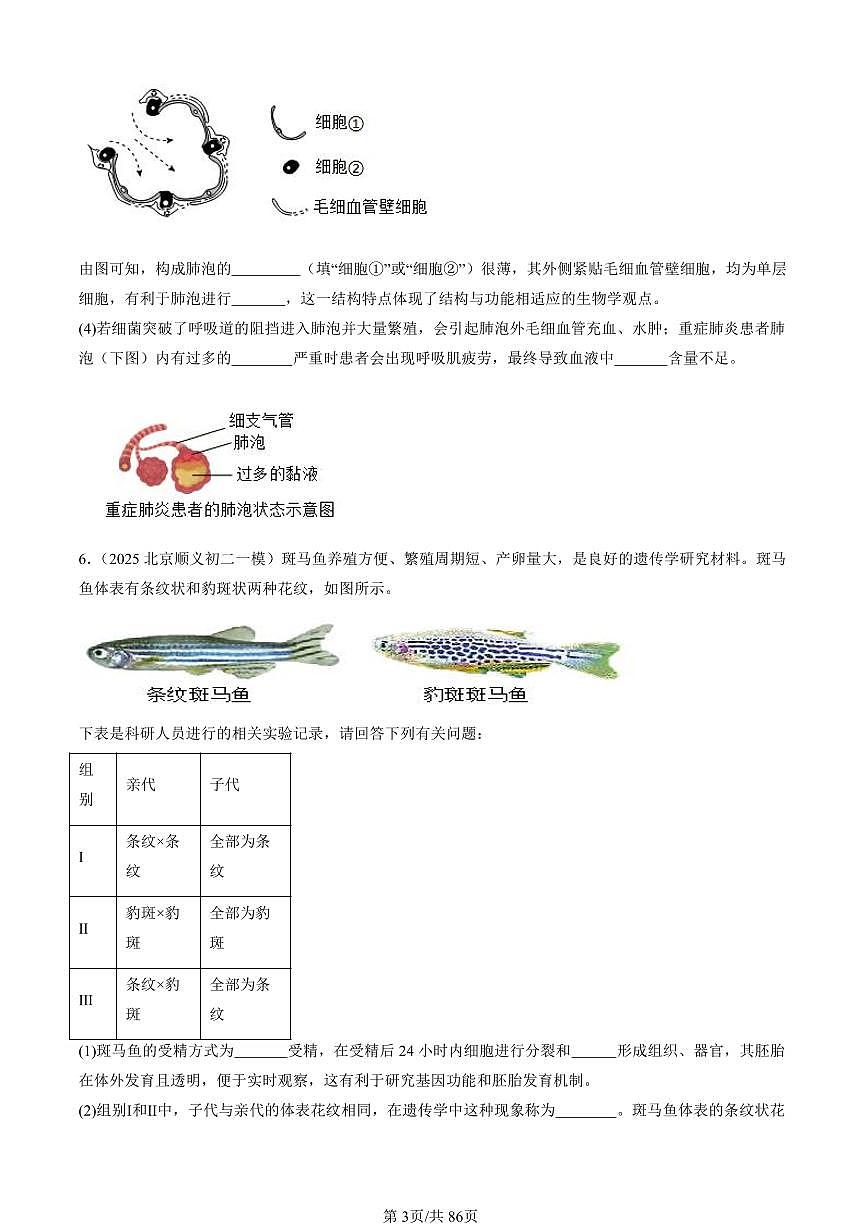 2023-2025北京初二一模生物汇编：综合题   有答案第3页