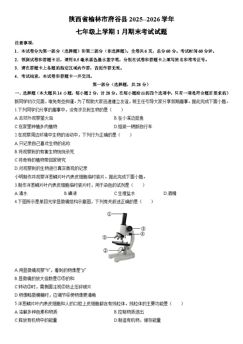 陕西省榆林市府谷县2025--2026学年七年级上学期1月期末考试生物试卷（学生版）第1页