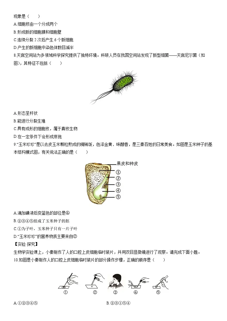 2025-2026学年陕西省宝鸡市渭滨区七年级上学期期末考试生物试卷（学生版）第2页