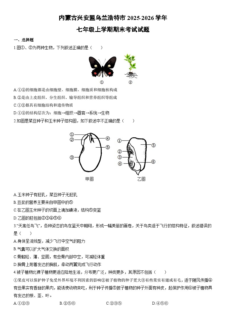 2025-2026学年内蒙古兴安盟乌兰浩特市七年级上学期期末考试生物试卷（学生版）第1页