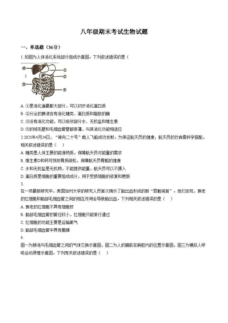 江苏省徐州市沛县树人学校等校2025_2026学年八年级上学期期末考试生物试题（文字版，含答案）第1页