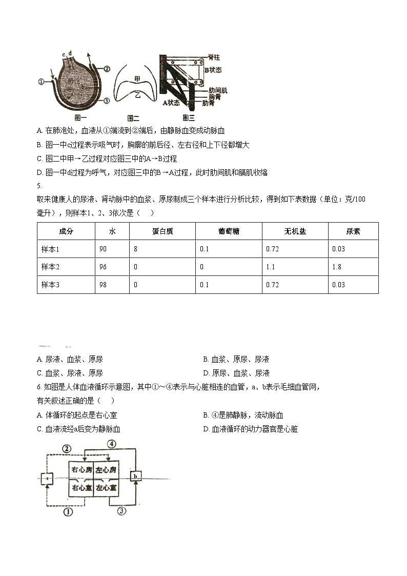 江苏省徐州市沛县树人学校等校2025_2026学年八年级上学期期末考试生物试题（文字版，含答案）第2页