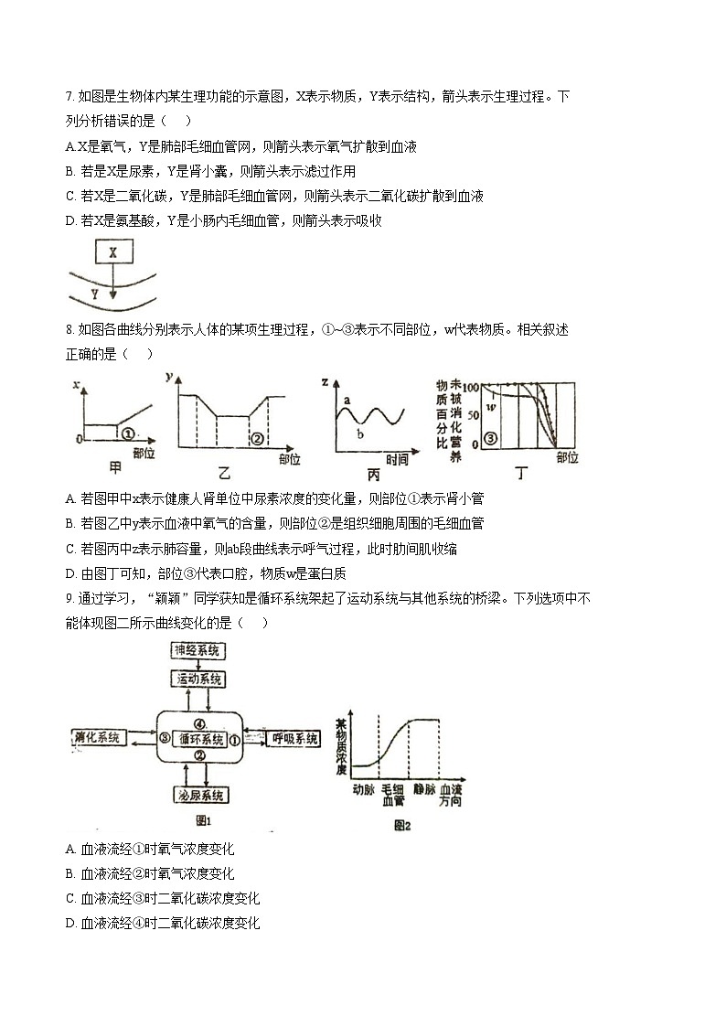 江苏省徐州市沛县树人学校等校2025_2026学年八年级上学期期末考试生物试题（文字版，含答案）第3页