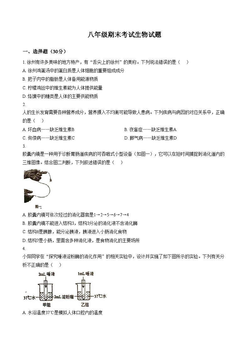 江苏省徐州市沛县第三中学等校2025_2026学年八年级上学期期末考试生物试题（文字版，含答案）第1页