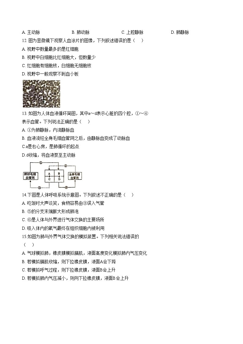 江苏省徐州市沛县第三中学等校2025_2026学年八年级上学期期末考试生物试题（文字版，含答案）第3页