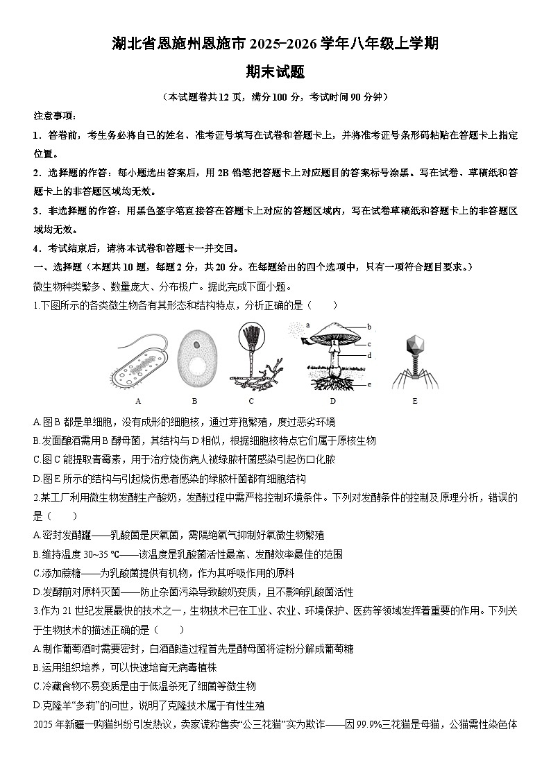 2025-2026学年湖北省恩施州恩施市八年级上学期期末生物试卷（学生版）第1页