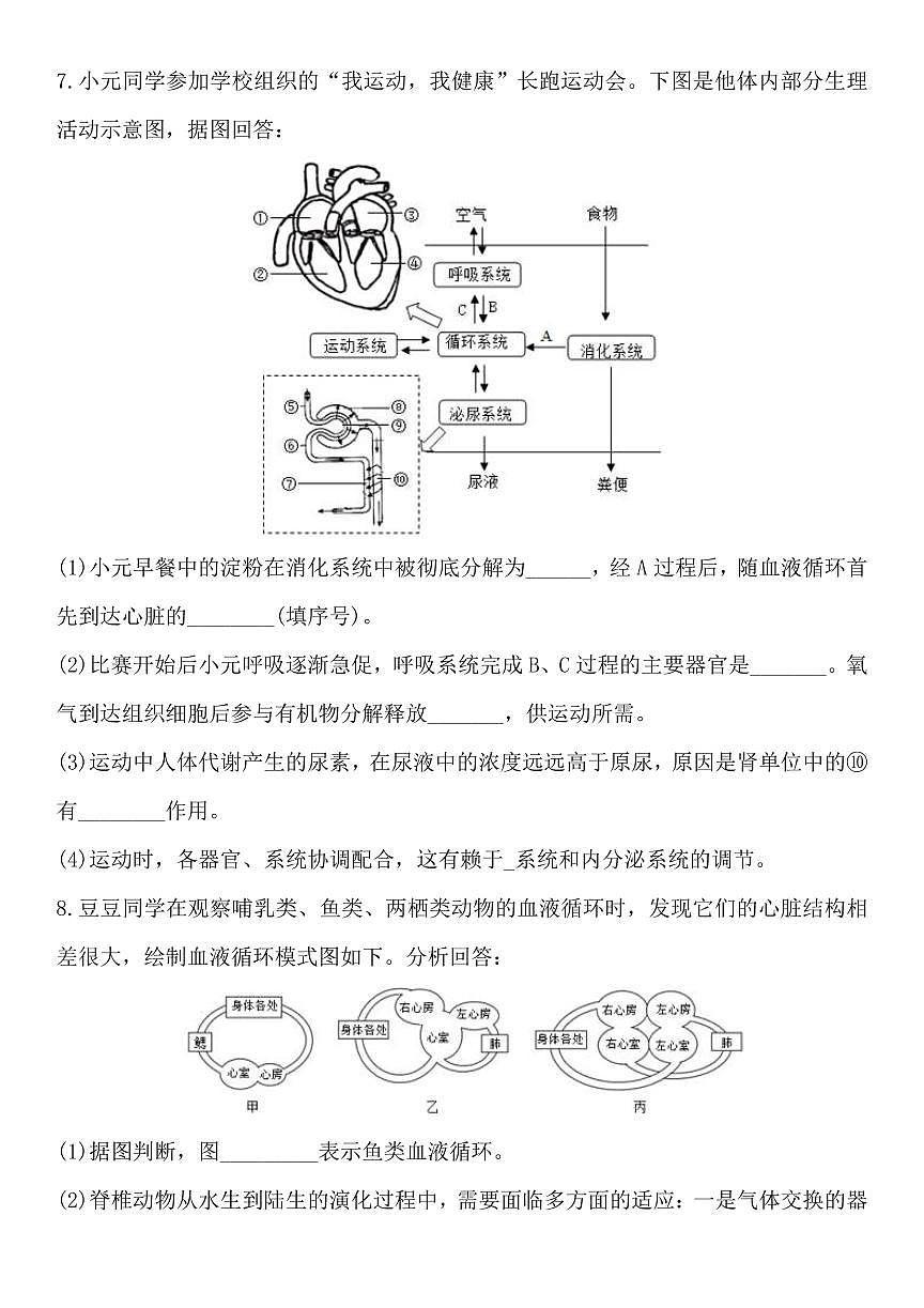 2024版人教版七年级下册生物期末压轴题09人体生理综合练习含答案第3页