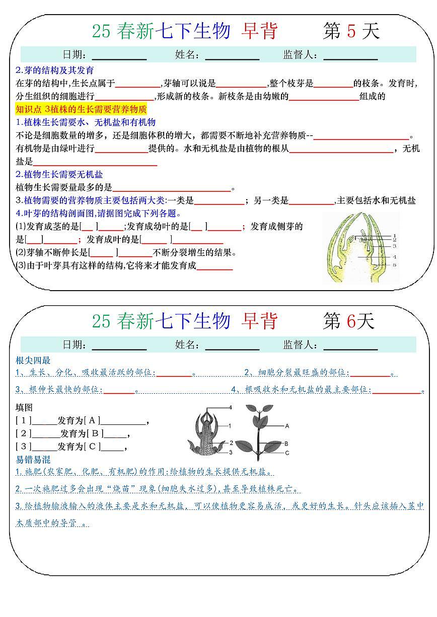 2024版人教版七年级下册生物默写知识点小纸条默写版+背诵版第3页