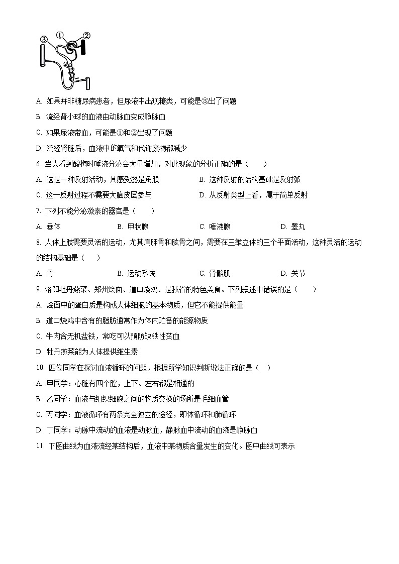 河南洛阳市汝阳县2025--2026学年上学期八年级期末生物试卷（试卷+解析）第2页