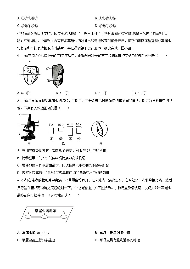 陕西商洛市镇安县2025-2026学年第一学期期末七年级生物学试题（试卷+解析）第2页