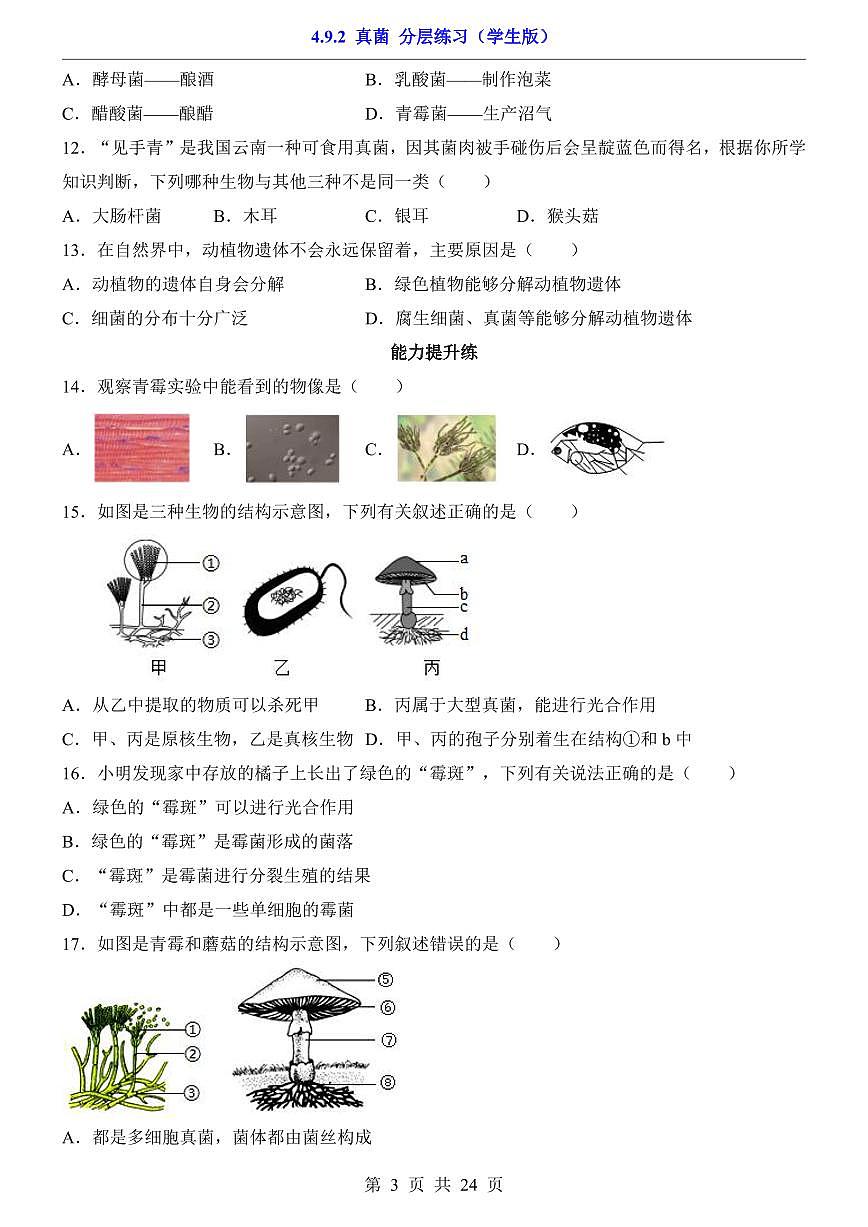 2024版苏科版七年级下册生物一课一练4.9.2 真菌（含答案解析）第3页