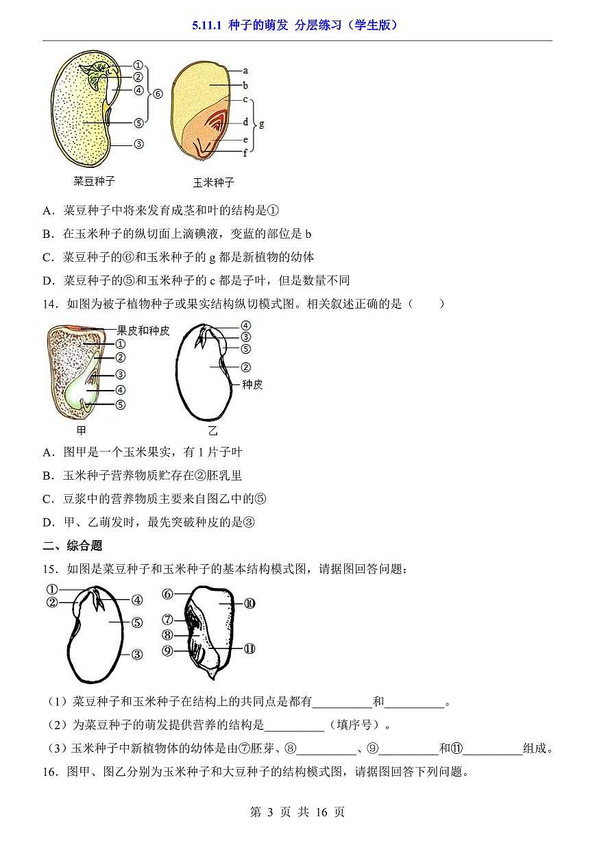 2024版苏科版七年级下册生物一课一练5.11.1 种子的萌发（含答案解析）第3页
