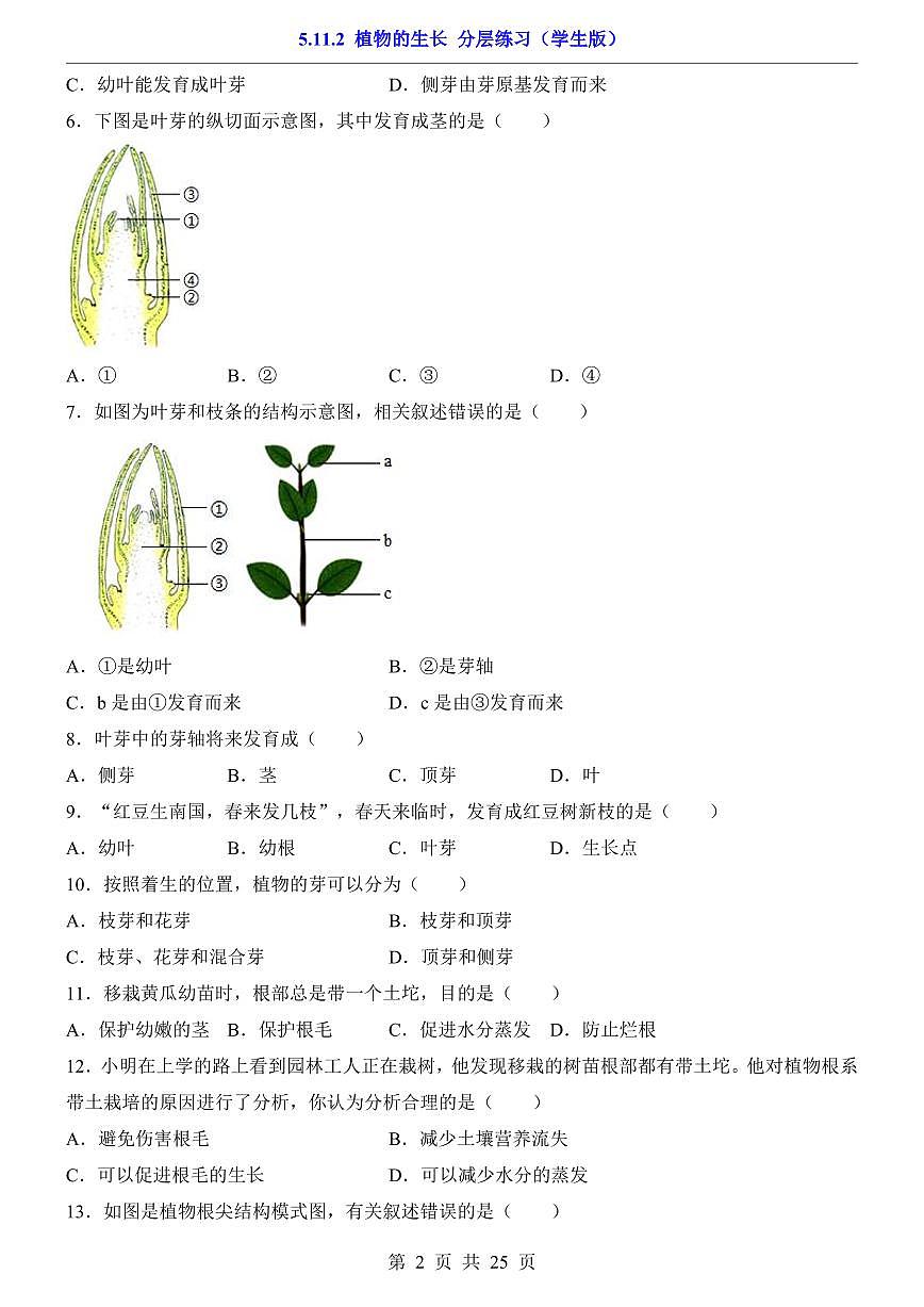 2024版苏科版七年级下册生物一课一练5.11.2 植物的生长（含答案解析）第2页