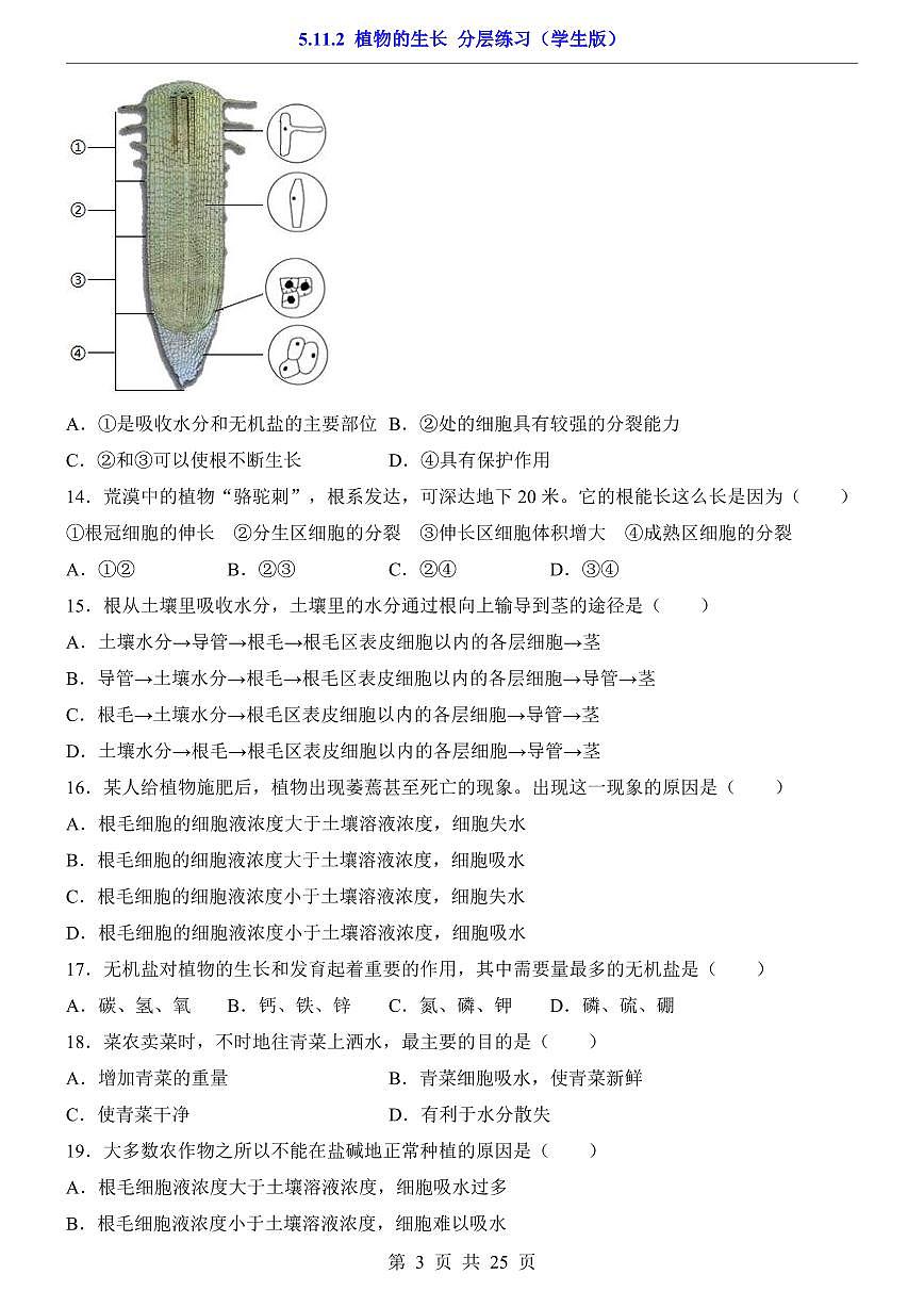 2024版苏科版七年级下册生物一课一练5.11.2 植物的生长（含答案解析）第3页