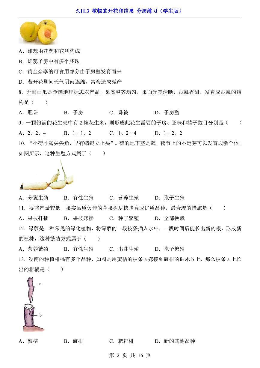 2024版苏科版七年级下册生物一课一练5.11.3 植物的开花和结果（含答案解析）第2页
