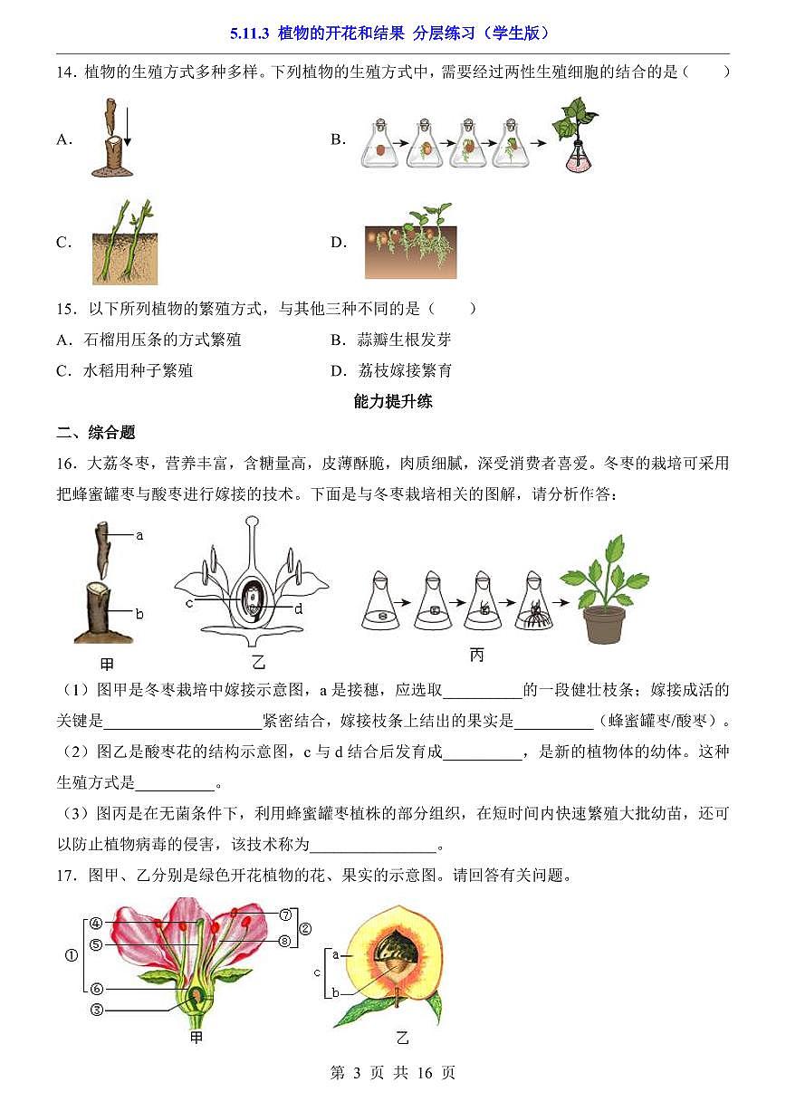 2024版苏科版七年级下册生物一课一练5.11.3 植物的开花和结果（含答案解析）第3页