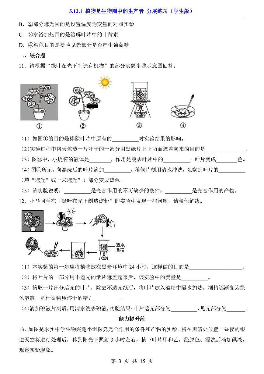 2024版苏科版七年级下册生物一课一练5.12.1 植物是生物圈中的生产者（含答案解析）第3页