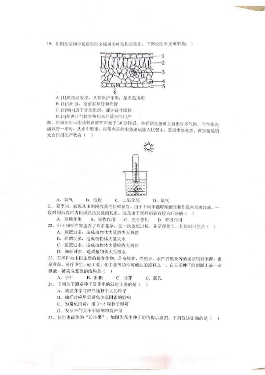 2025-2026学年广东省湛江市雷州市乌石中学度第一学期期末阶段测评七年级生物试卷（含答案） (1)第3页