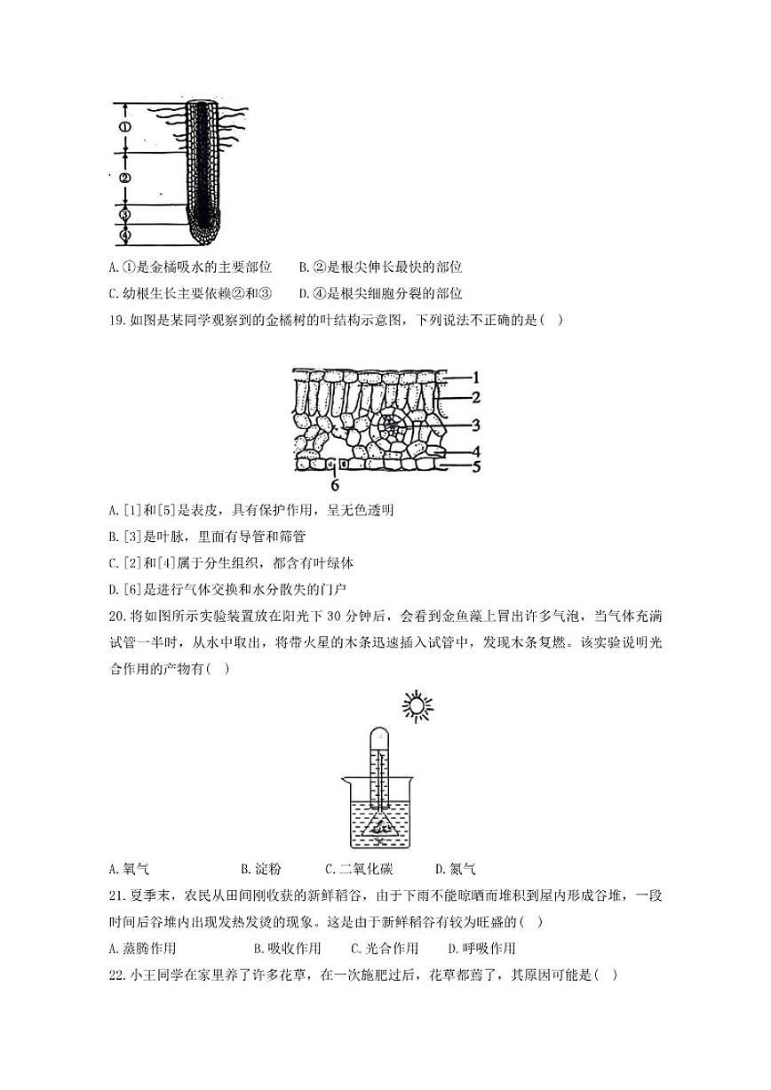 2025-2026学年广东省湛江市雷州市乌石中学度第一学期期末阶段测评七年级生物试卷（含答案）第3页