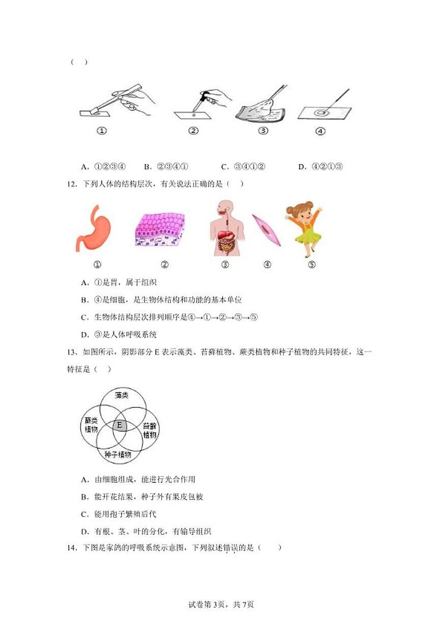 2025-2026学年七年级上册生物新人教版期末综合练习题（含答案）第3页
