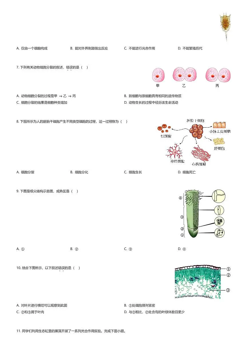 2025~2026学年北京朝阳区初一上学期期末生物试卷（有答案解析）第2页