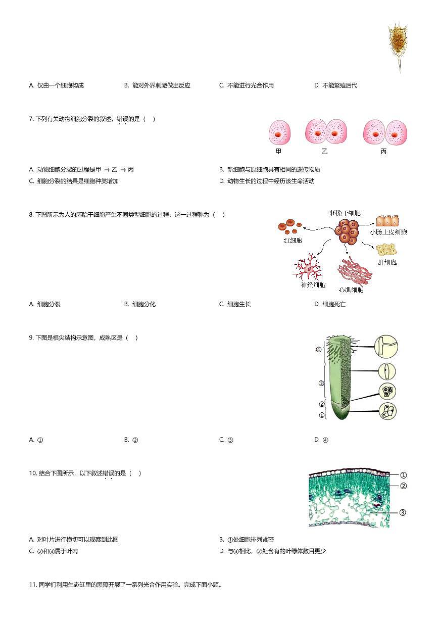 2025~2026学年北京朝阳区初一上学期期末生物试卷（有答案解析）第2页