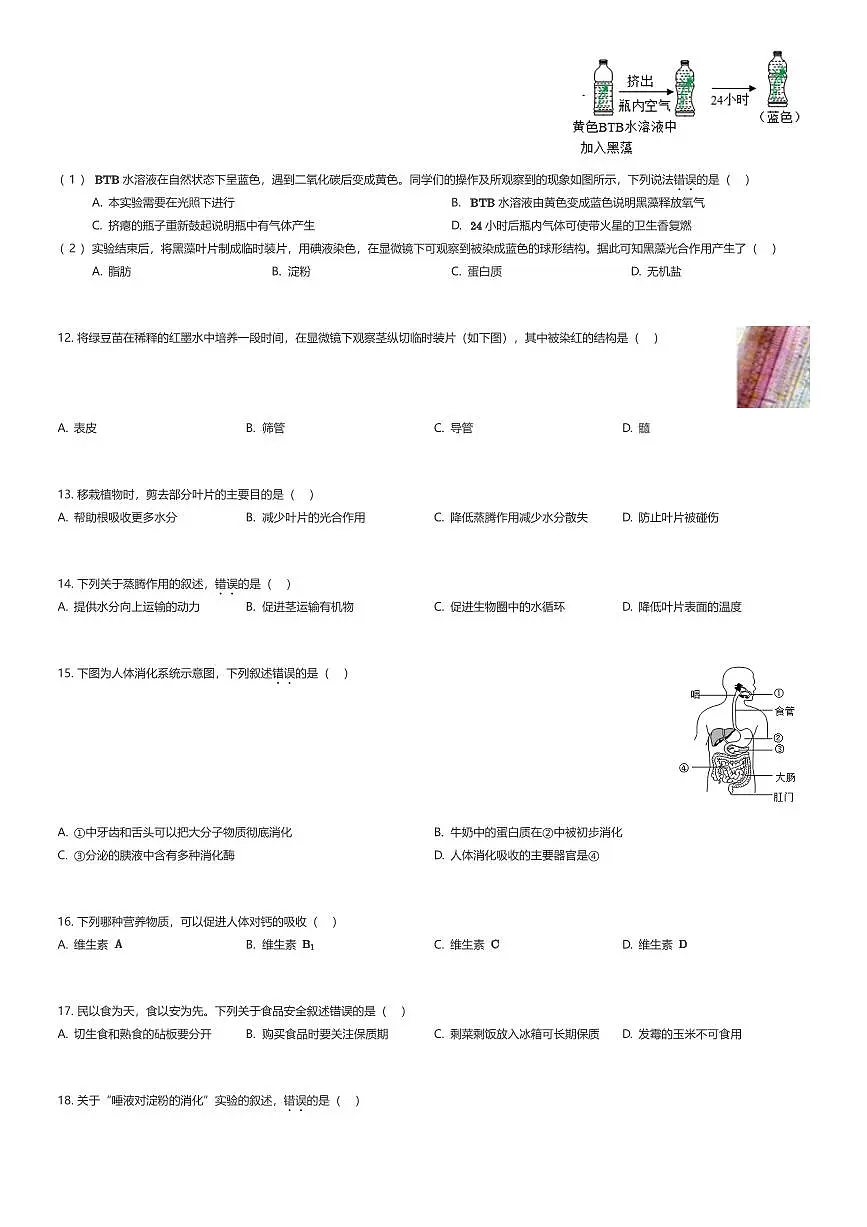 2025~2026学年北京朝阳区初一上学期期末生物试卷（有答案解析）第3页