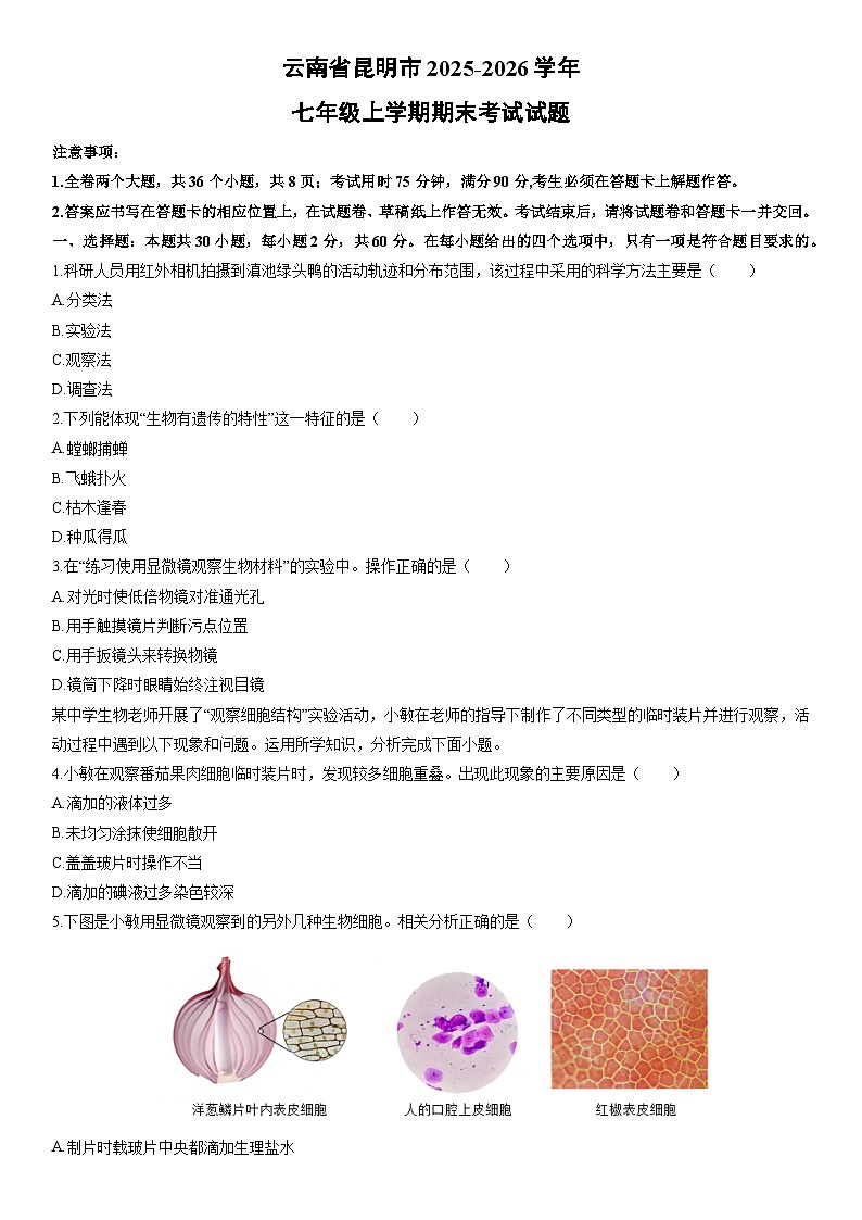 2025-2026学年云南省昆明市七年级上学期期末考试生物试卷（学生版）第1页
