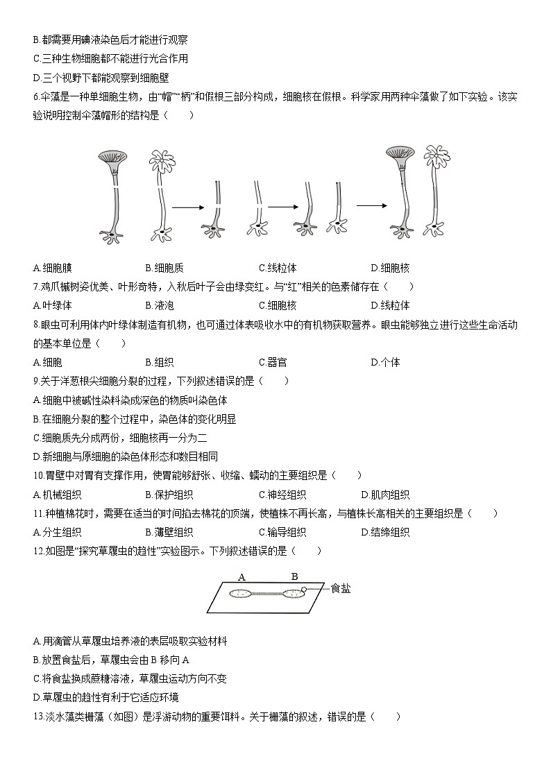 2025-2026学年云南省昆明市七年级上学期期末考试生物试卷（学生版）第2页