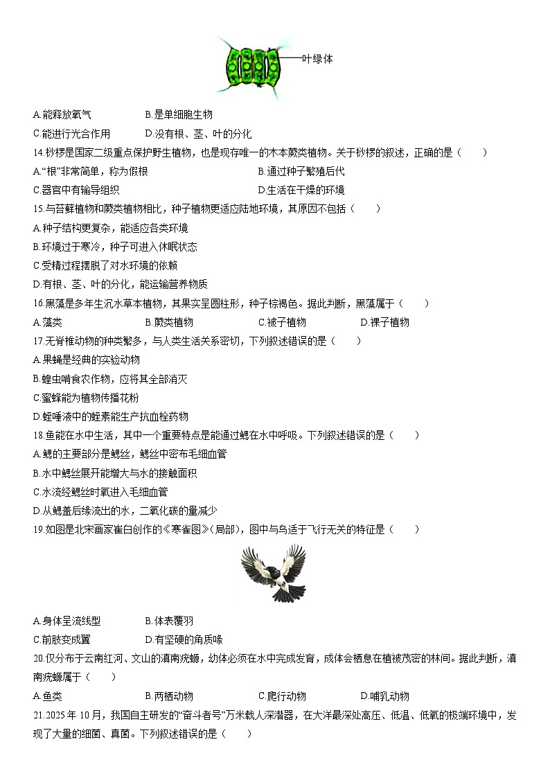2025-2026学年云南省昆明市七年级上学期期末考试生物试卷（学生版）第3页