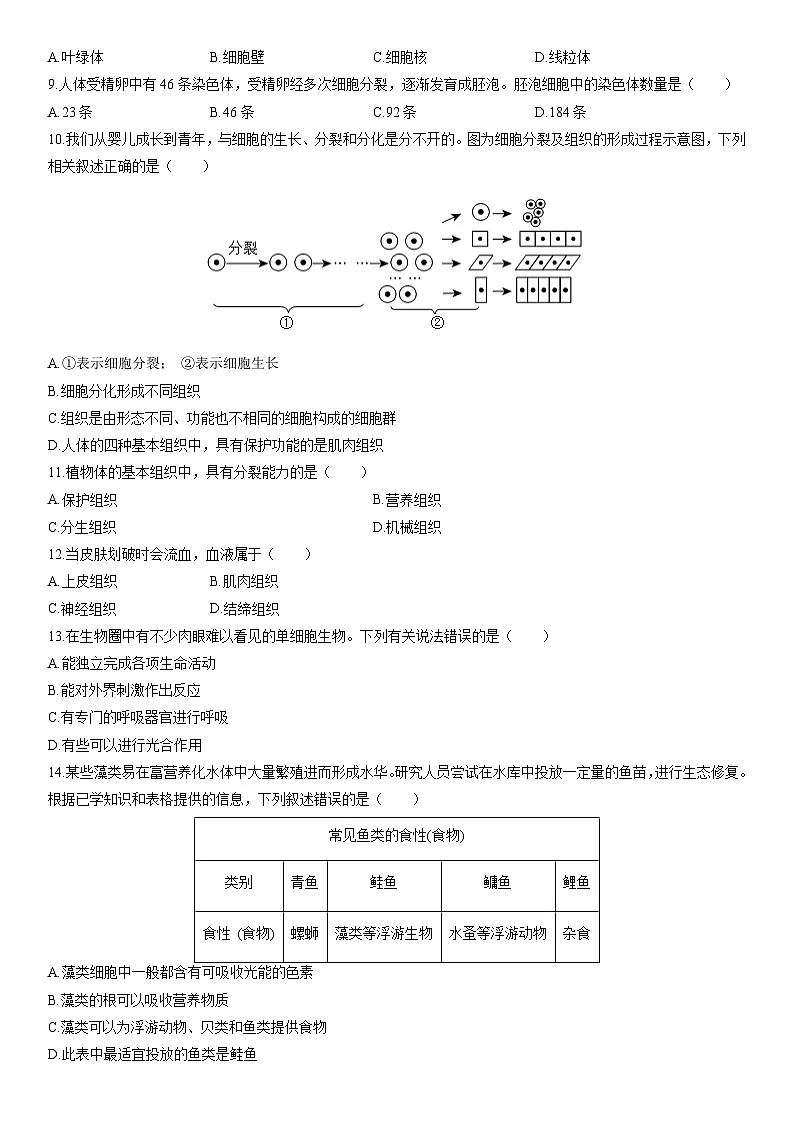2025-2026学年云南省昭通市七年级上学期期末考试生物试卷（学生版）第2页