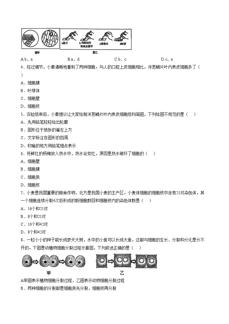 陕西省西安市雁塔区西安交通大学附属中学2025_2026学年第一学期期末考试七年级生物试题（文字版，含答案）第2页