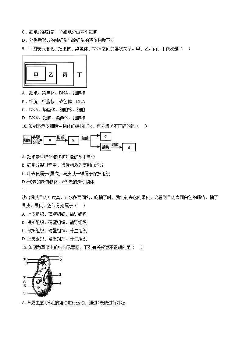 陕西省西安市雁塔区西安交通大学附属中学2025_2026学年第一学期期末考试七年级生物试题（文字版，含答案）第3页
